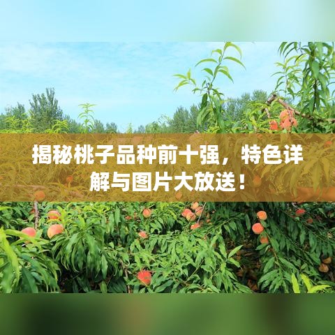 指李推張