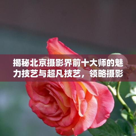 慎重其事