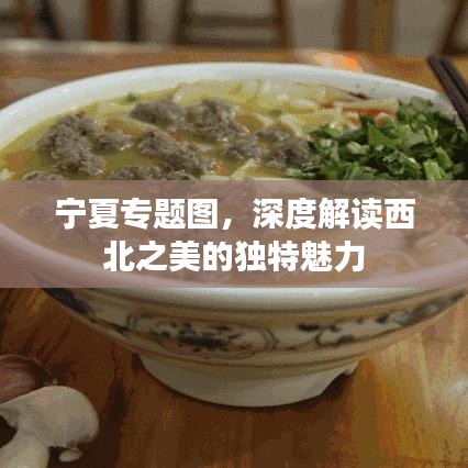 寧夏專(zhuān)題圖，深度解讀西北之美的獨(dú)特魅力