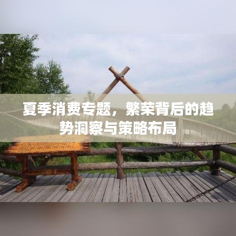 夏季消費(fèi)專題，繁榮背后的趨勢(shì)洞察與策略布局