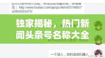 獨(dú)家揭秘，熱門新聞?lì)^條號名稱大全，一網(wǎng)打盡！