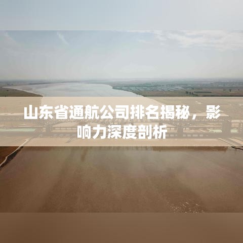山東省通航公司排名揭秘，影響力深度剖析