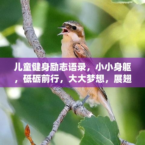 兒童健身勵志語錄，小小身軀，砥礪前行，大大夢想，展翅飛翔