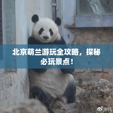 北京萌蘭游玩全攻略，探秘必玩景點！