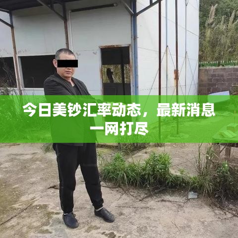 今日美鈔匯率動(dòng)態(tài)，最新消息一網(wǎng)打盡