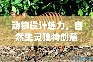 動物設(shè)計魅力，自然生靈獨特創(chuàng)意展現(xiàn)