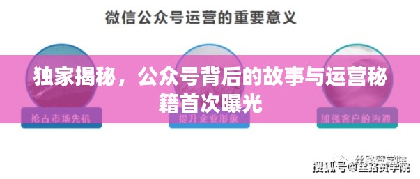 獨家揭秘，公眾號背后的故事與運營秘籍首次曝光