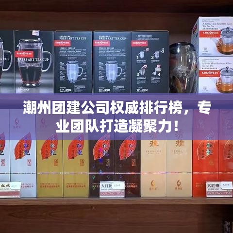 潮州團建公司權(quán)威排行榜，專業(yè)團隊打造凝聚力！