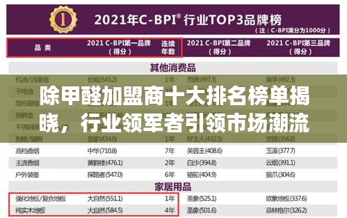 除甲醛加盟商十大排名榜單揭曉，行業(yè)領(lǐng)軍者引領(lǐng)市場潮流
