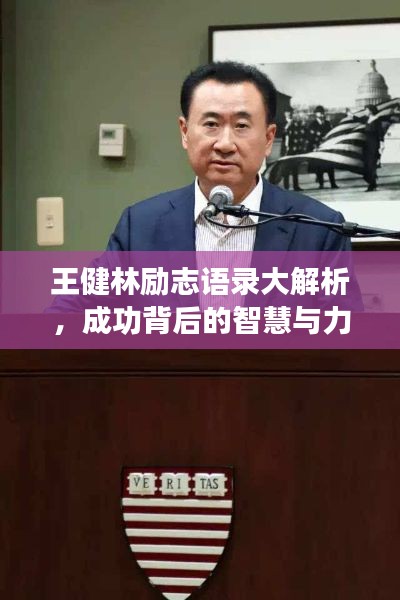 王健林勵(lì)志語(yǔ)錄大解析，成功背后的智慧與力量