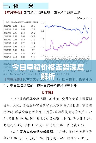 今日早稻價(jià)格走勢(shì)深度解析
