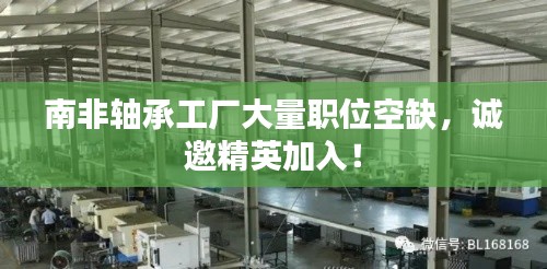 南非軸承工廠大量職位空缺，誠邀精英加入！