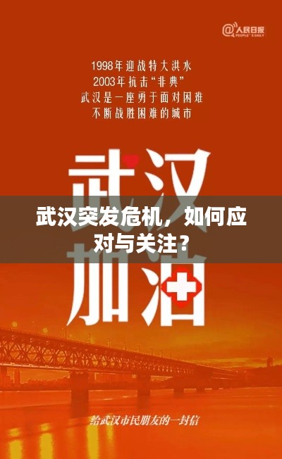武漢突發(fā)危機(jī)，如何應(yīng)對與關(guān)注？