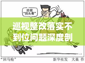 巡視整改落實不到位問題深度剖析