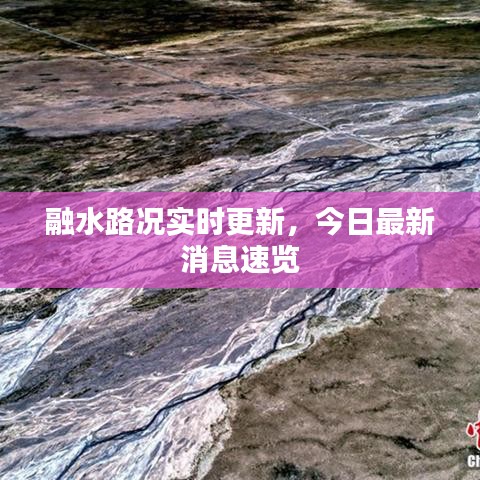 融水路況實時更新，今日最新消息速覽
