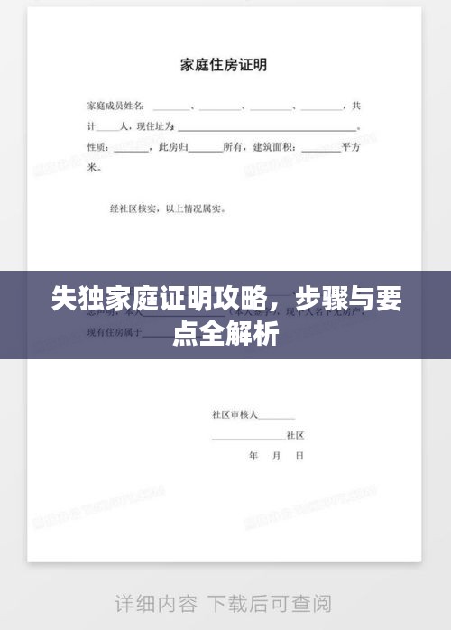 失獨(dú)家庭證明攻略，步驟與要點(diǎn)全解析
