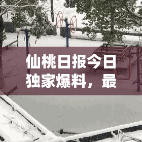 仙桃日?qǐng)?bào)今日獨(dú)家爆料，最新消息一網(wǎng)打盡！