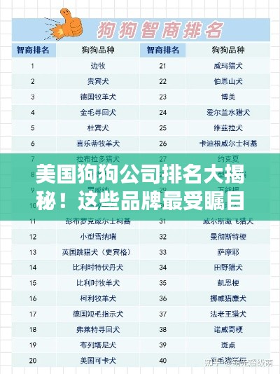 美國(guó)狗狗公司排名大揭秘！這些品牌最受矚目！