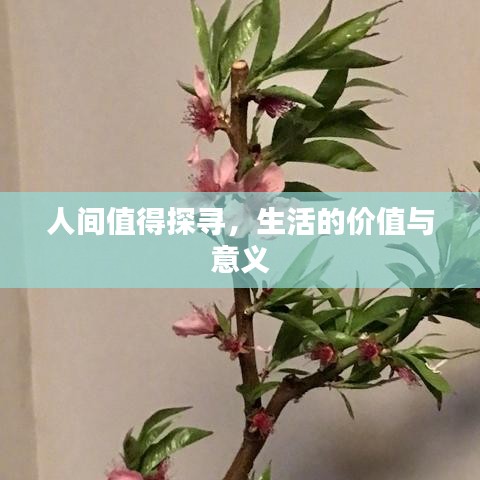 人間值得探尋，生活的價(jià)值與意義