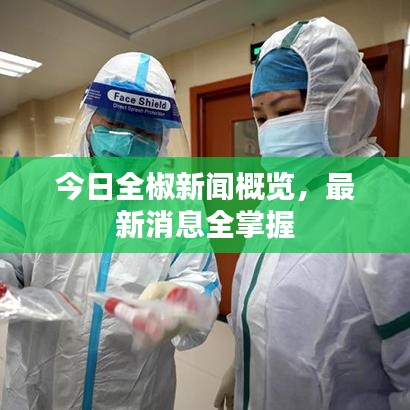 今日全椒新聞概覽，最新消息全掌握
