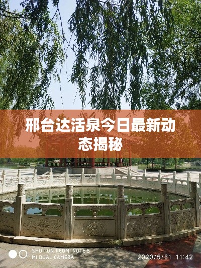 邢臺(tái)達(dá)活泉今日最新動(dòng)態(tài)揭秘