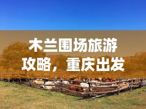 聯(lián)系我們 第5頁