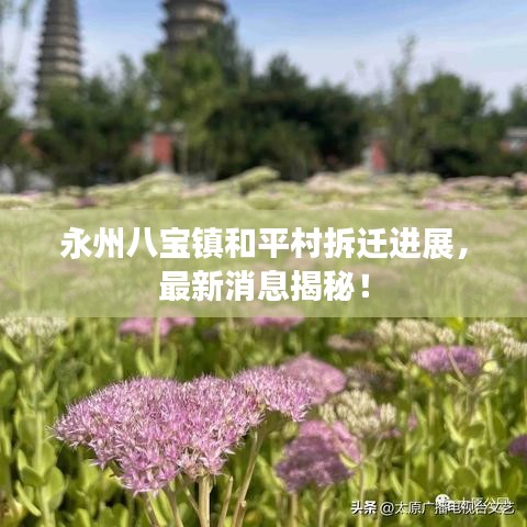 永州八寶鎮(zhèn)和平村拆遷進(jìn)展，最新消息揭秘！