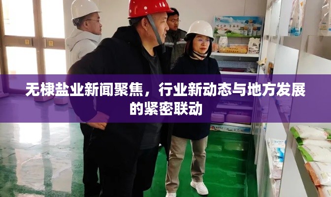 無棣鹽業(yè)新聞聚焦，行業(yè)新動(dòng)態(tài)與地方發(fā)展的緊密聯(lián)動(dòng)