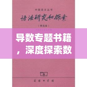 導數專題書籍，深度探索數學之美的奧秘之旅