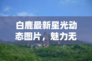 白鹿最新星光動態(tài)圖片，魅力無限，光彩奪目