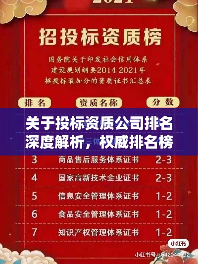關(guān)于投標(biāo)資質(zhì)公司排名深度解析，權(quán)威排名榜單揭曉