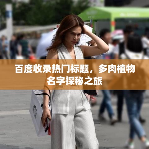 百度收錄熱門(mén)標(biāo)題，多肉植物名字探秘之旅