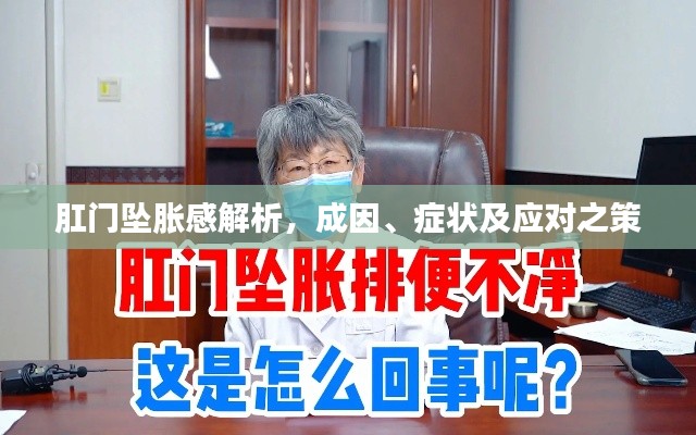 肛門(mén)墜脹感解析，成因、癥狀及應(yīng)對(duì)之策
