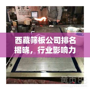 西藏篩板公司排名揭曉，行業(yè)影響力不容小覷