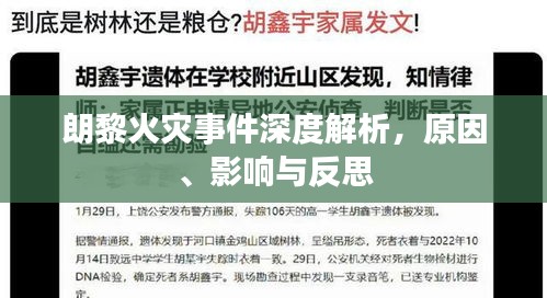 朗黎火災(zāi)事件深度解析，原因、影響與反思