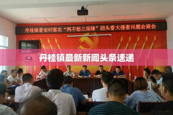 丹桂鎮(zhèn)最新新聞頭條速遞