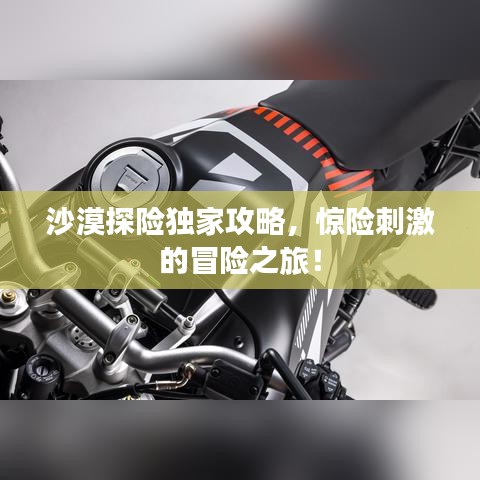 沙漠探險(xiǎn)獨(dú)家攻略，驚險(xiǎn)刺激的冒險(xiǎn)之旅！