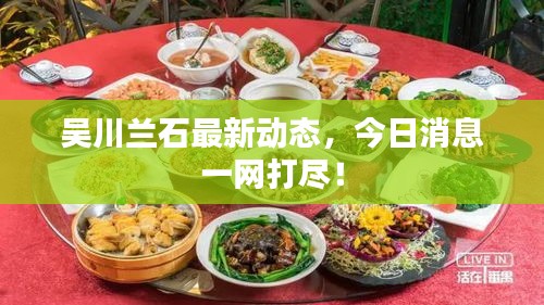 吳川蘭石最新動態(tài)，今日消息一網(wǎng)打盡！
