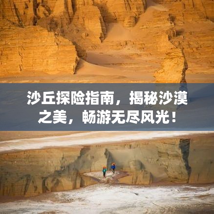 沙丘探險(xiǎn)指南，揭秘沙漠之美，暢游無(wú)盡風(fēng)光！