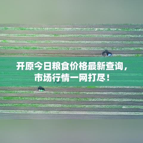 開原今日糧食價格最新查詢，市場行情一網(wǎng)打盡！