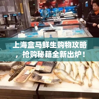 上海盒馬鮮生購(gòu)物攻略，搶購(gòu)秘籍全新出爐！
