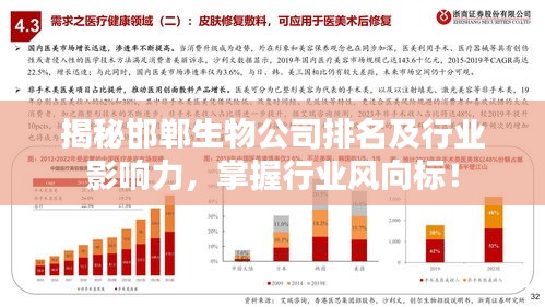 揭秘邯鄲生物公司排名及行業(yè)影響力，掌握行業(yè)風(fēng)向標(biāo)！