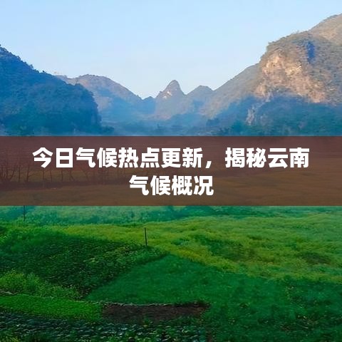 今日氣候熱點(diǎn)更新，揭秘云南氣候概況